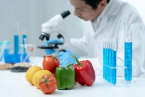 Corso HACCP